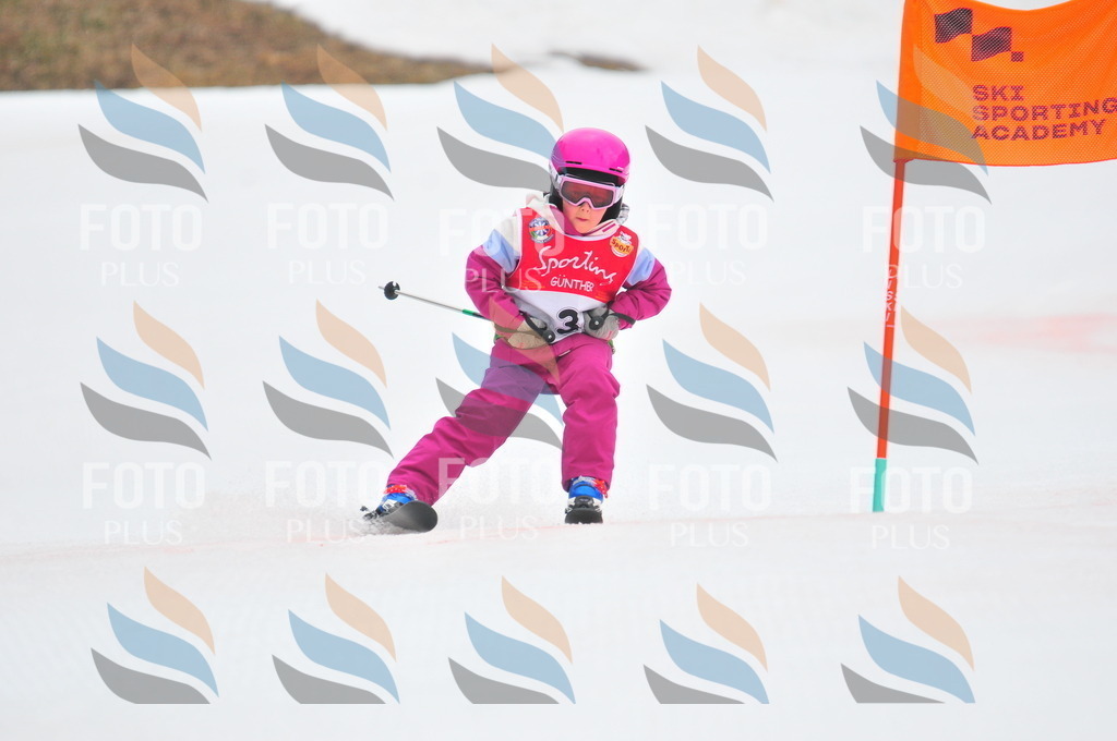 C0485 | holidayphoto