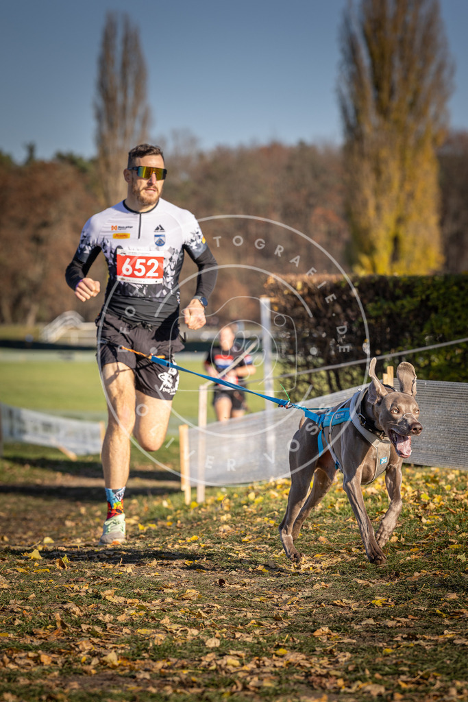 CaniXpix_DV3A0497 | Hundefotografie, Tierfotograf, Pfotenfotografie, Fotoshooting Hund, Hunde Portrait, Hundesport, Hundeportraits, Heideshooting, Hunde, Sportfotograf, Hundefotograf, Turnierhundsport, THS,  - Realisiert mit Pictrs.com