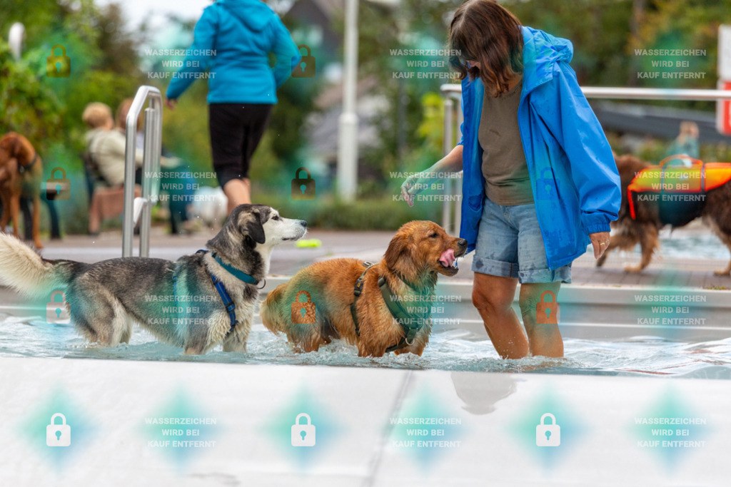 _HP_6249_1000o | HetPix, HetPix Fotodesign, Fotografie, Fotodesign, Webshop, Sportfotografie, Portraitfotografie, Onlineshop, Sportfotografie, Polch, Motorsportfotografie, Eventfotografie