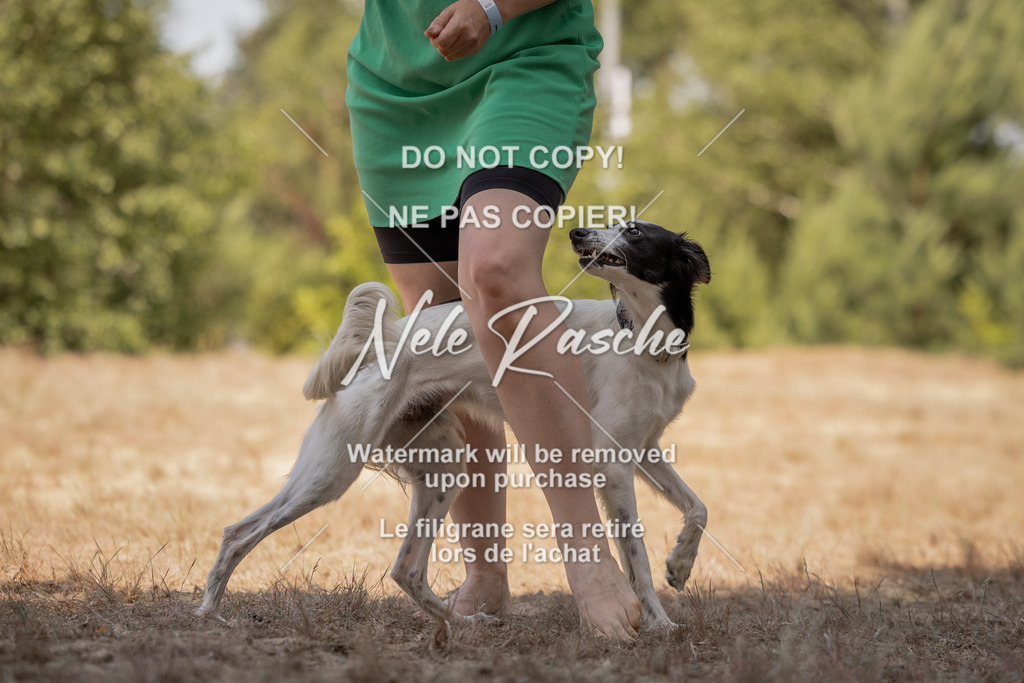 nelerasche_soDD2_427 | nelerasche