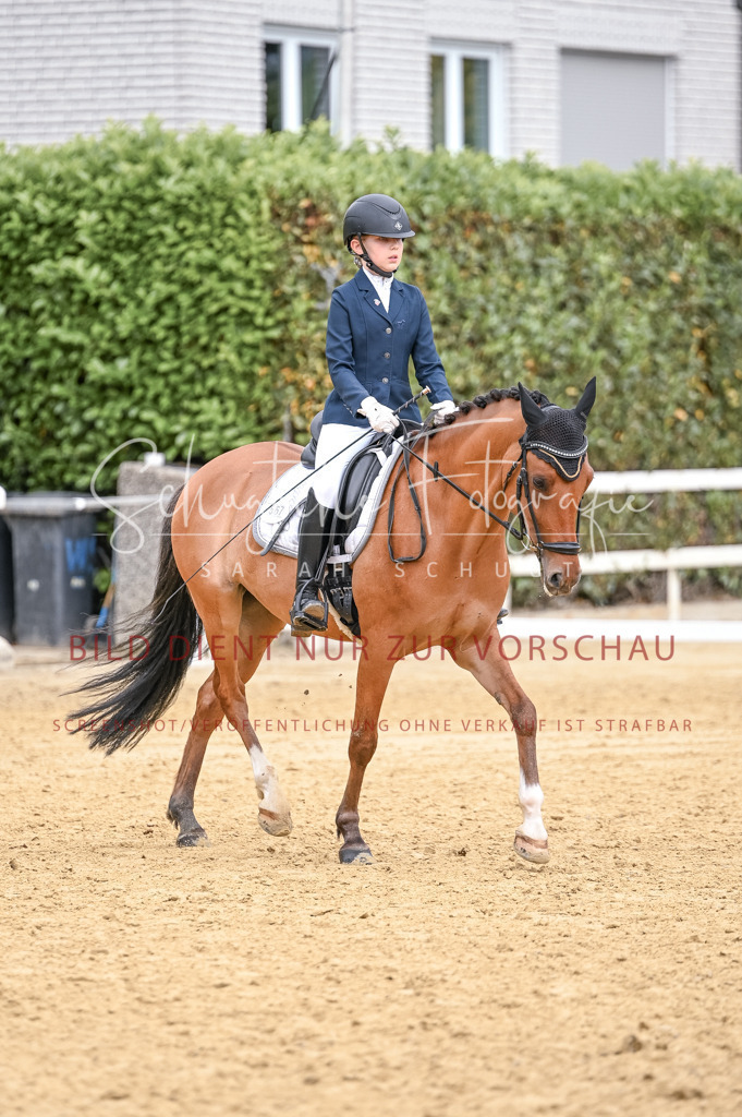 Schugtsche-Aluta25-44.DresssurreiterWB-259 | Schugtsche Fotografie - Realisiert mit Pictrs.com