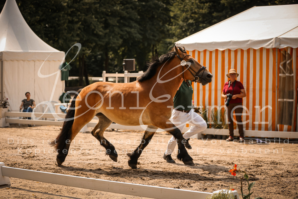 2.Sa00084 | Leoni Ertmer Photography - Realisiert mit Pictrs.com