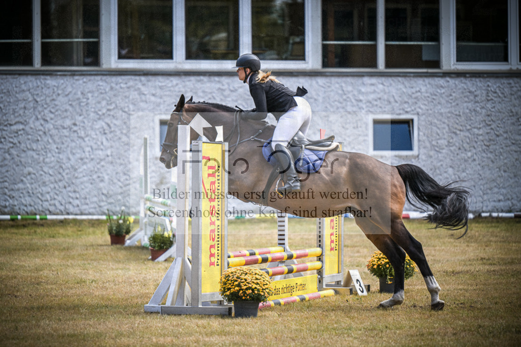 DOS_0233 | Entdecke hochwertige Reitturnierfotos von Foto Oger. Professionell, emotional und authentisch – jetzt Lieblingsmomente im Shop bestellen.Deutschlandweite Turnierfotografie. - Realisiert mit Pictrs.com
