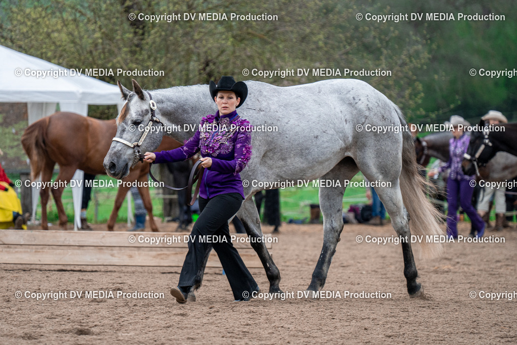 BA300084 | dv-media-shop - Realisiert mit Pictrs.com