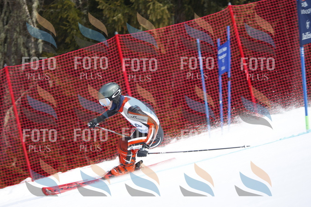 D8299 | holidayphoto