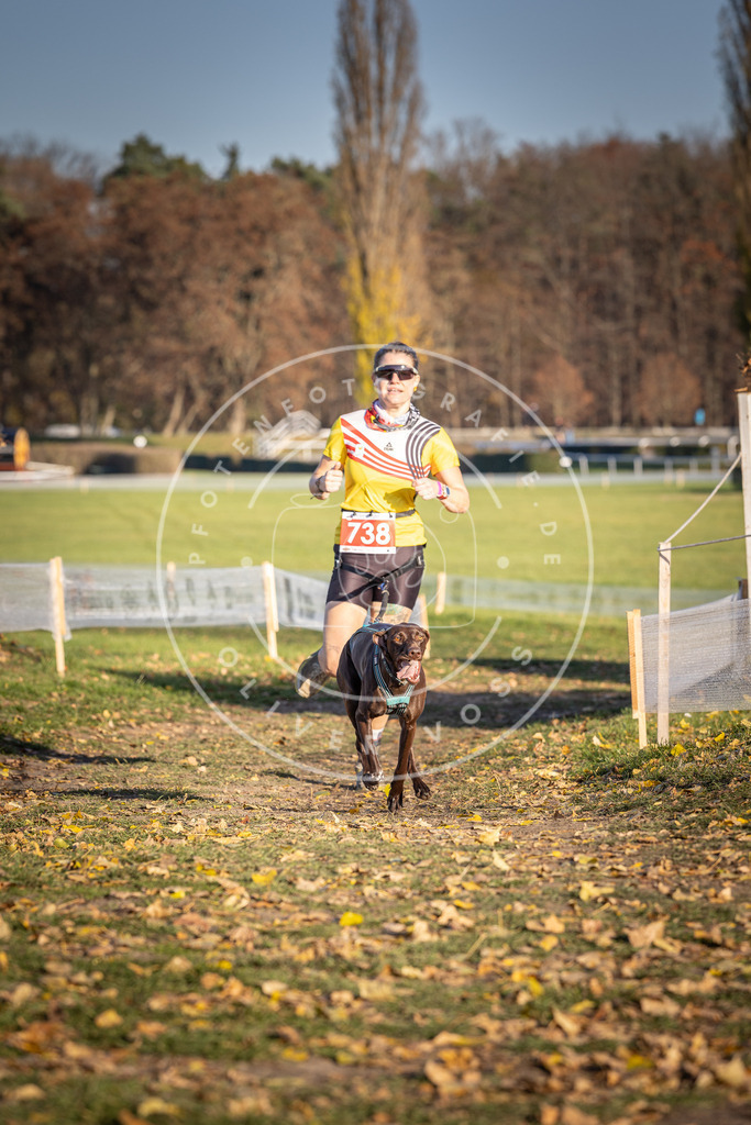 CaniXpix_DV3A2174 | Hundefotografie, Tierfotograf, Pfotenfotografie, Fotoshooting Hund, Hunde Portrait, Hundesport, Hundeportraits, Heideshooting, Hunde, Sportfotograf, Hundefotograf, Turnierhundsport, THS,  - Realisiert mit Pictrs.com