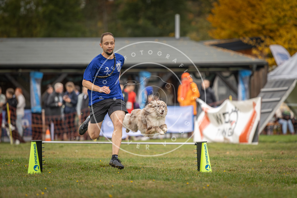 Pfotenfotografie_DV3A5024 | Hundefotografie, Tierfotograf, Pfotenfotografie, Fotoshooting Hund, Hunde Portrait, Hundesport, Hundeportraits, Heideshooting, Hunde, Sportfotograf, Hundefotograf, Turnierhundsport, THS,  - Realisiert mit Pictrs.com