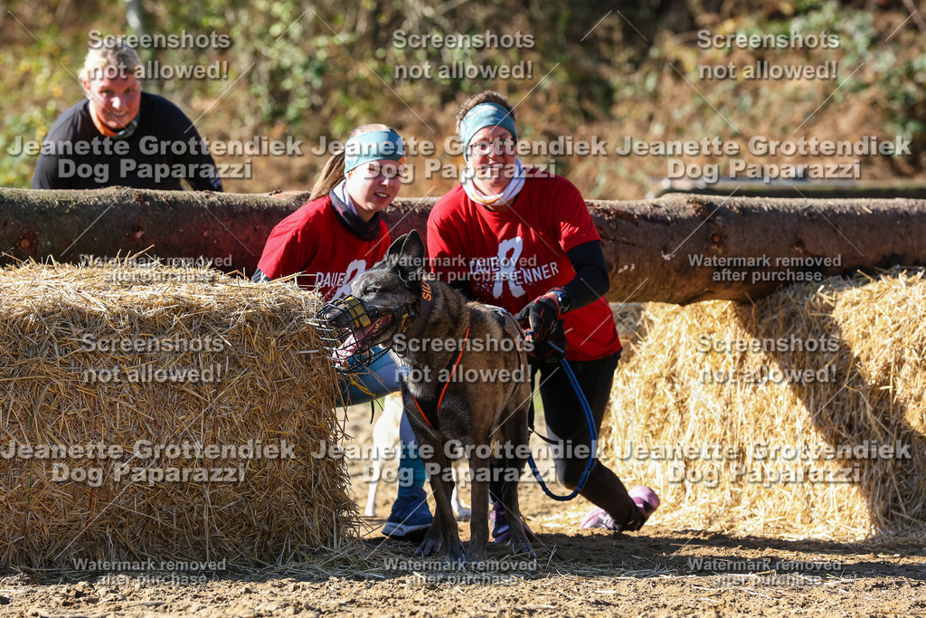 Dog Paparazzi - Strongdog 10-25-2785 | Dog Paparazzi Jeanette Grottendiek Fotografie & Videografie - Realisiert mit Pictrs.com
