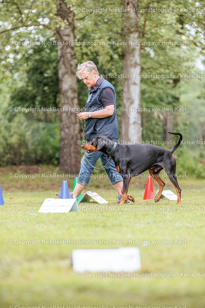 RO-Blumenthal-2026-Nickbest-Hundefotografie-5228 | Dein Hund! Dein Moment! Deine Erinnerungen! Hundefotografie in Bremen Blumenthal. Ich fange die besonderen Momente deines Vierbeiners ein – ob Indoor mit Blitzanlage oder in der freien Natur. Sicher dir dein Moment und dein Termin für eure Erinnerungen.
