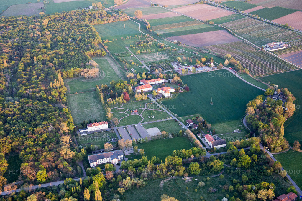 Luftbild: Campus Lachen Diakonissen im Ortsteil Speyerdorf in Neustadt im Bundesland Rheinland-Pfalz in Deutschland. Foto: IMG_077542.jpg vom 21.04.2015 durch Werner Riehm/FLY-FOTO.de