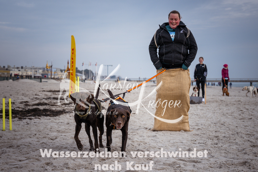 1300_ZZ97622 | kk-dogfotos