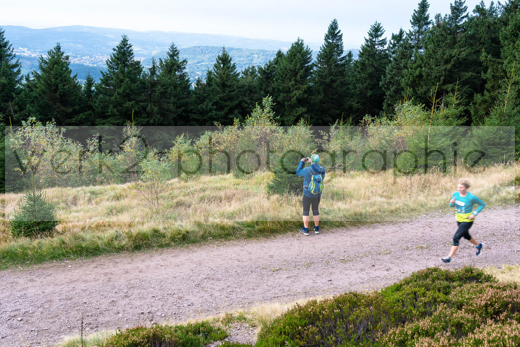 Rennsteiglauf 2021 | Marathon Neuhaus/Rwg. - Schmiedefeld