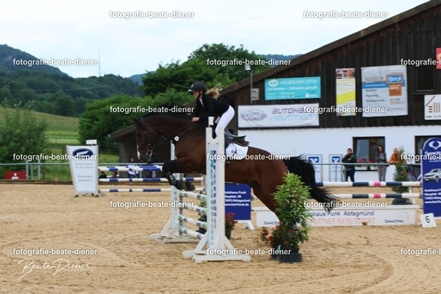 OHT1311 | Fotografie, Tiere, Hunde, Katzen, Pferde, Sportfotografie, Fotosession, Tierfotografie, Turnierfotografie, Fotografin, Fotograf - Realisiert mit Pictrs.com