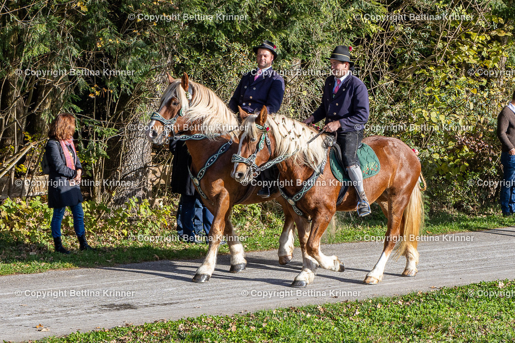 LBT24-280 | foto-bettina-krinner - Realisiert mit Pictrs.com