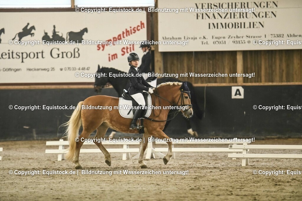 20231029_04_Dressur-WB_0055 | Foto: Thomas Hartig