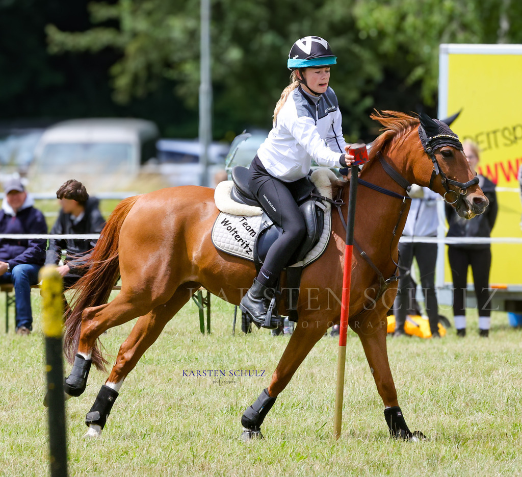 1B3A1237 | Reitsport Reiten