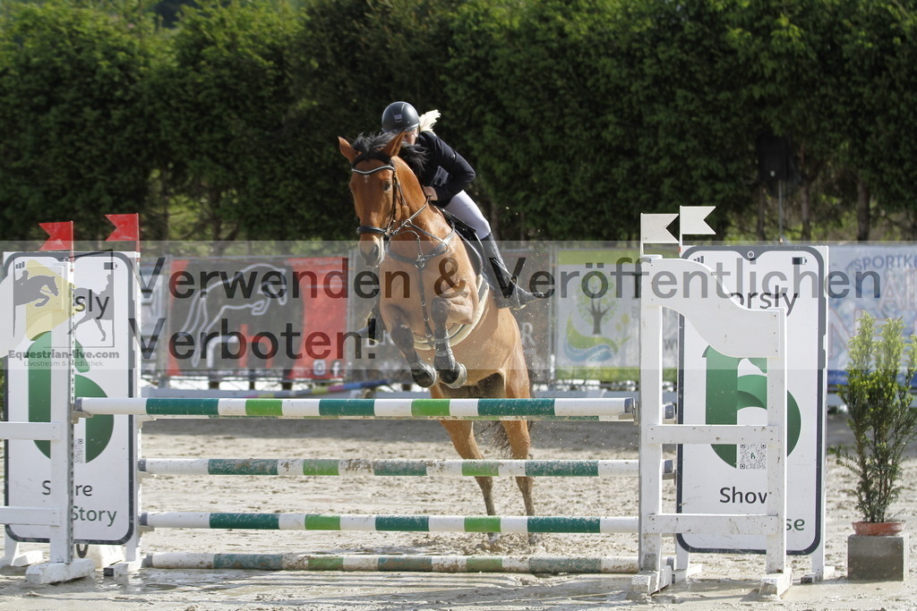 _MG_2487 | equestrian-live-com