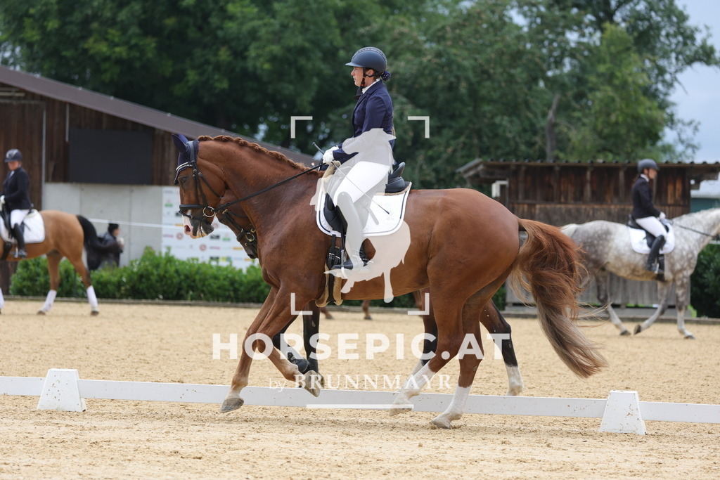 0P6A8619 | Willkommen bei Brunnmayr - Design & Fotografie – Ihrem Spezialisten für Reitturniere und Pferdeveranstaltungen in Oberösterreich, Salzburg und Bayern! Seit über 17 Jahren sind wir leidenschaftlich dabei.