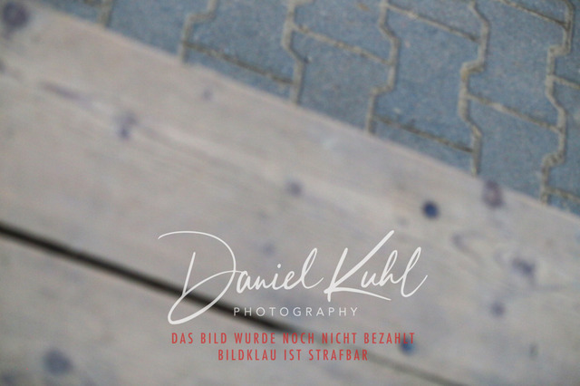 IMG_2729 | Turnierfotos kaufen im Webshop von Daniel Kuhl Photography – entdecke professionelle Reitsportfotos aus Turnieren & Events. Hochwertige Turnierbilder online bestellen & sichern. Jetzt Fotos von Reitsportturnieren kaufen!
