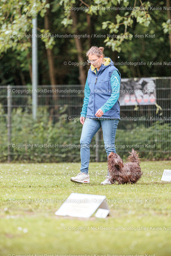 RO-Blumenthal-2026-Nickbest-Hundefotografie-0301 | Dein Hund! Dein Moment! Deine Erinnerungen! Hundefotografie in Bremen Blumenthal. Ich fange die besonderen Momente deines Vierbeiners ein – ob Indoor mit Blitzanlage oder in der freien Natur. Sicher dir dein Moment und dein Termin für eure Erinnerungen.