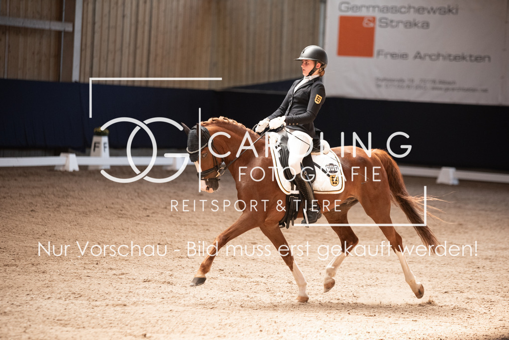 DSC_3434 | Carolin Gieschke