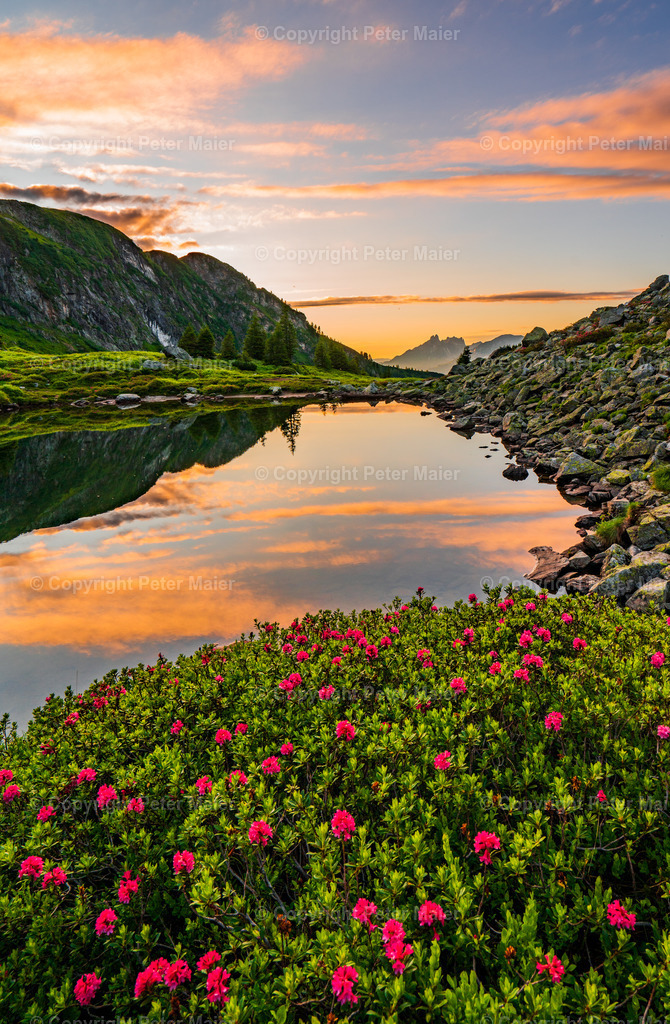 Landschaft Divers7 | piet_flosse