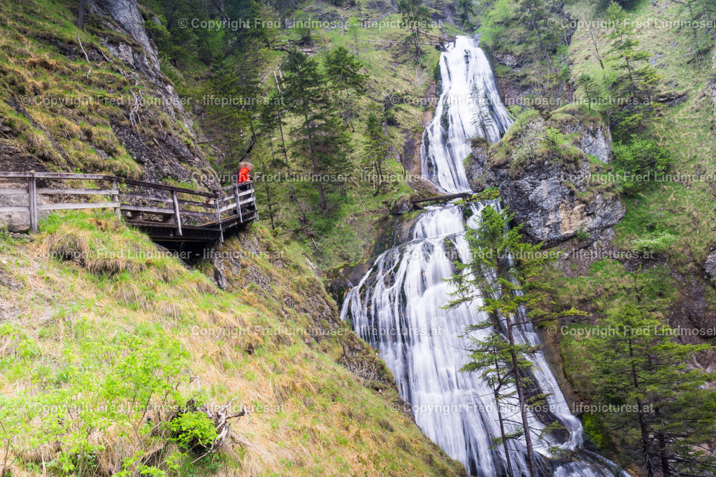 Wasserloch Palfau-02834-2 | Fotos und Fotoprodukte - Realisiert mit Pictrs.com