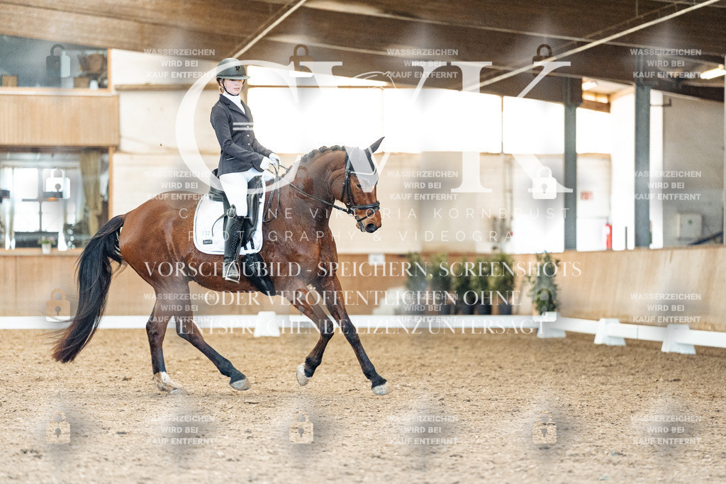 CK909290 | Turnierfotografie Pferdefotografie Trier Rheinland-Pfalz Pferdesport Reitsport Tierfotografie Sportfotografie Pferdevideo Pferdevideografie Equestrianvideography equestrianphotography  - Realisiert mit Pictrs.com