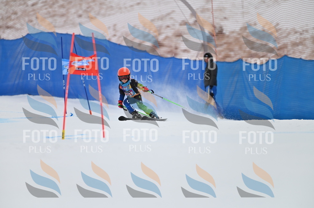 BGV_1908 | holidayphoto