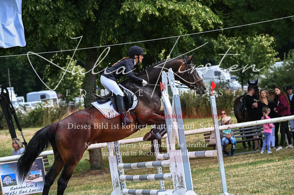 DSC_8311 | Pferde- und Turnierfotografie in Westsachsen. Pferdeportraits, Auftragszeichnungen und intuitive Kunst.