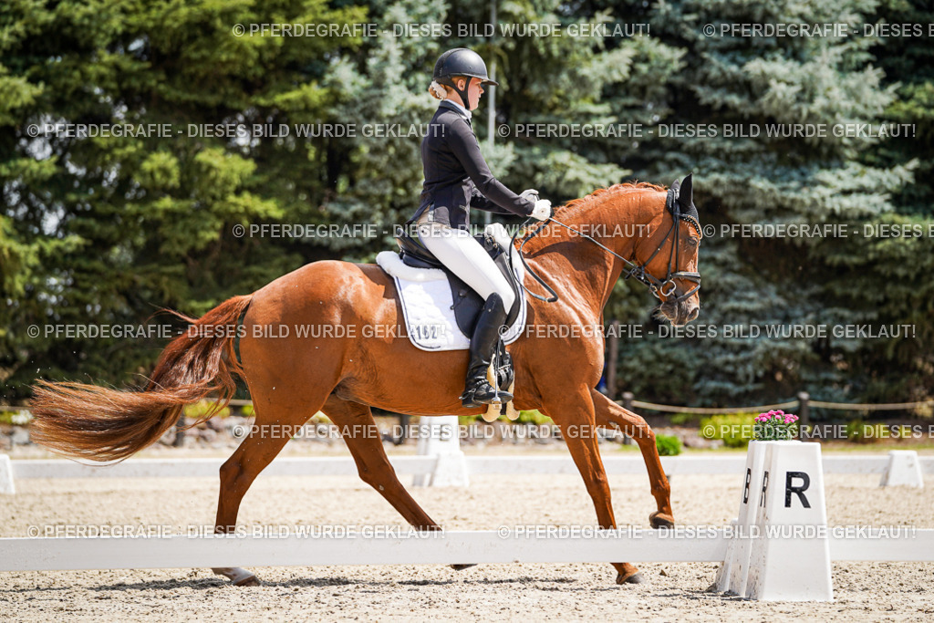 DSC00891 | Pferdegrafie