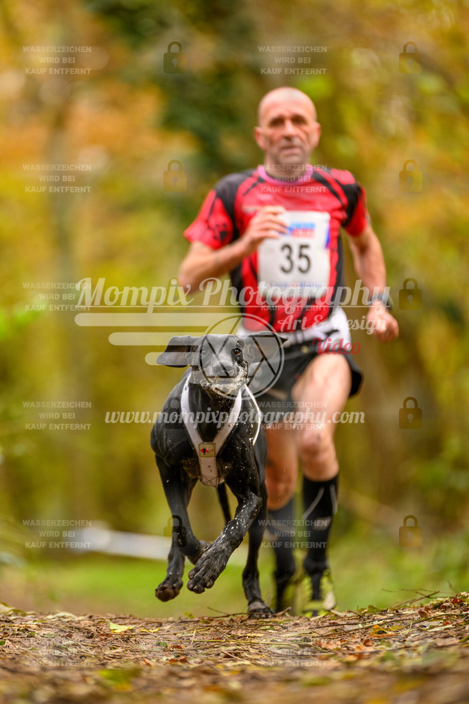 MompixPhotography_Bischwiller24_SA_Canicross-3 | mompixphotography