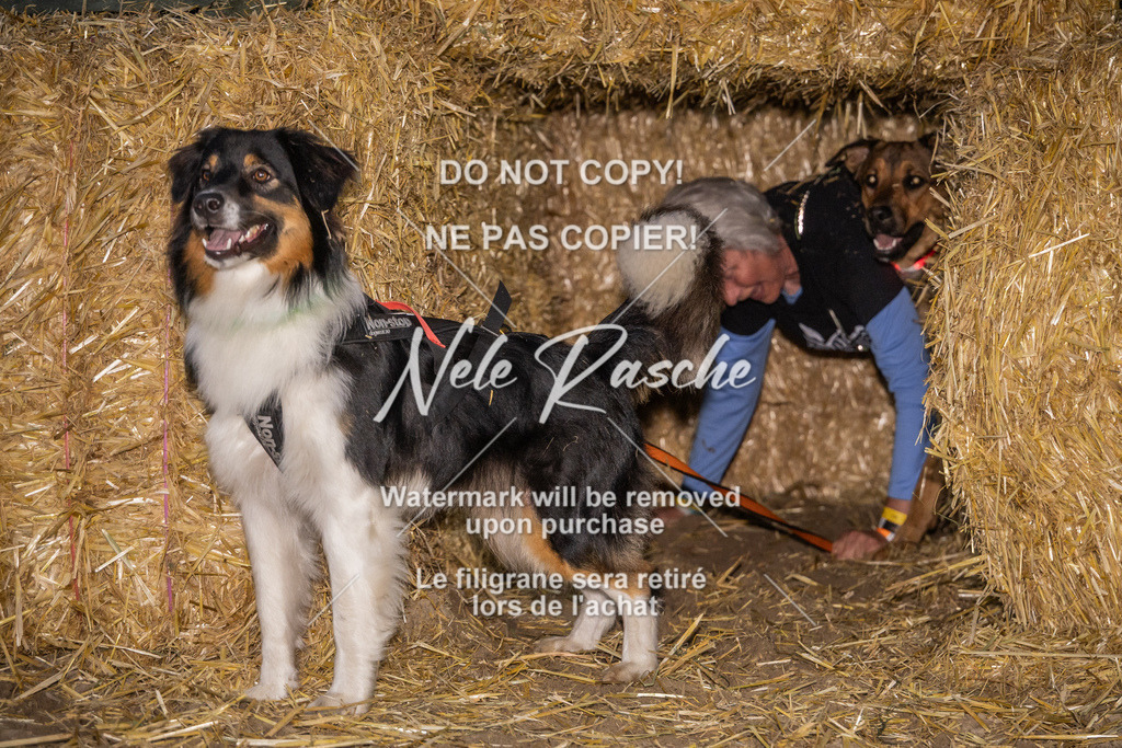 nelerasche_FrNacht_259 | nelerasche