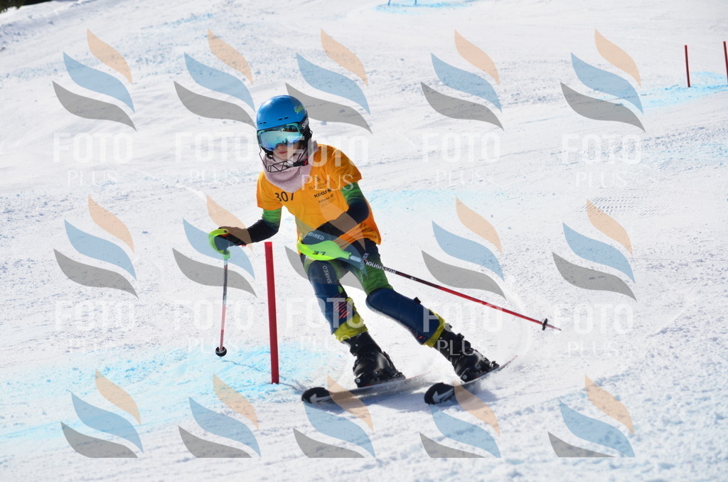 C9503 | holidayphoto