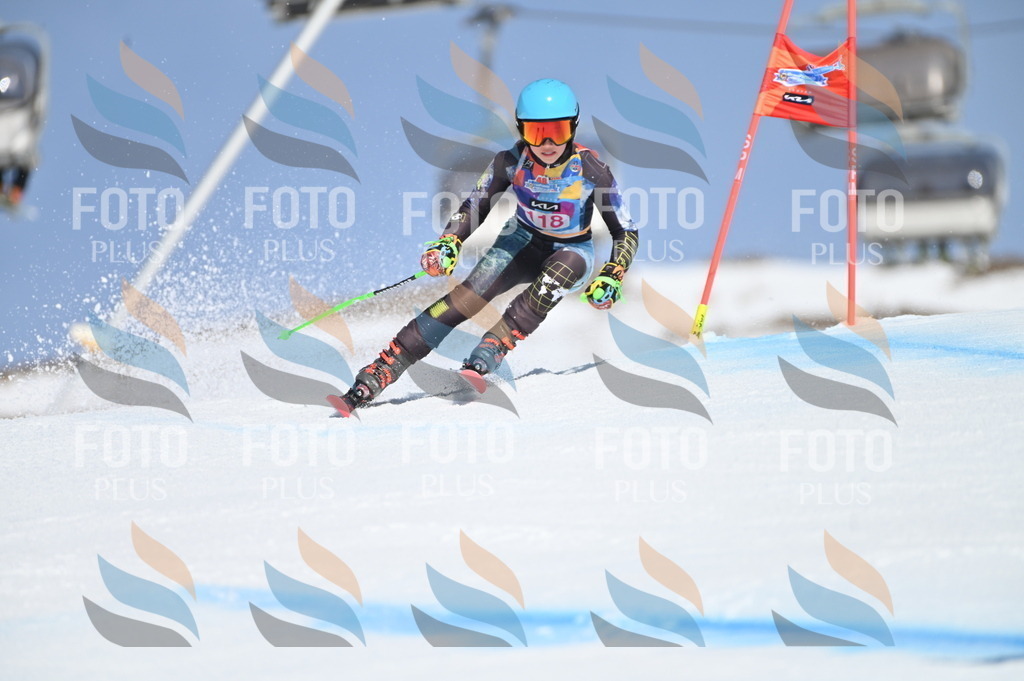 BGV_9767 | holidayphoto