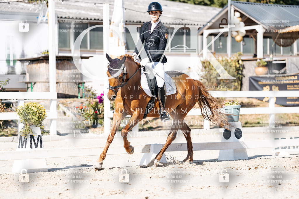 CK907844 | Turnierfotografie Pferdefotografie Trier Rheinland-Pfalz Pferdesport Reitsport Tierfotografie Sportfotografie Pferdevideo Pferdevideografie Equestrianvideography equestrianphotography  - Realisiert mit Pictrs.com