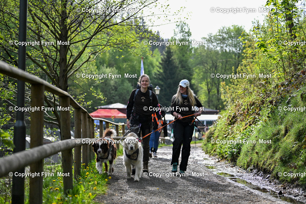 DSC_3522 | Hallo und herzlich Willkommen auf meiner Shop-Seite Fynn Most.

Ich wünsche Dir viel Spaß beim stöbern durch die Bilder, wenn Du Fragen hast oder Bilder vermisst, kannst du mir gerne eine Nachricht schreiben. - Realisiert mit Pictrs.com