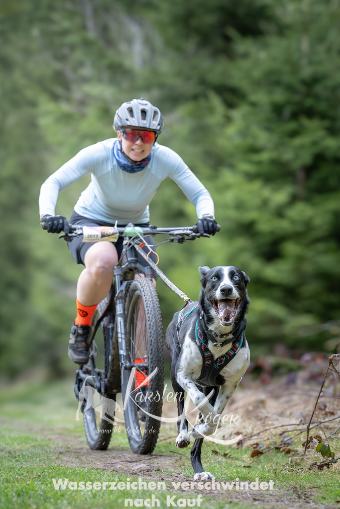 1309_ZZ93696 | kk-dogfotos