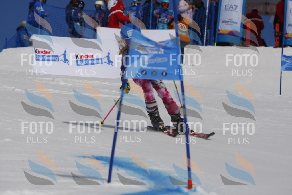 _W1G0243 | holidayphoto