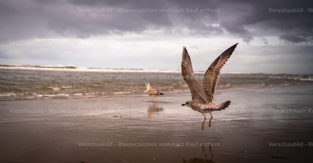 DSC01471-Enhanced-NR-2 | marcuslinek