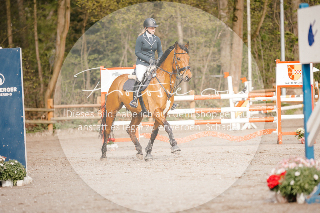 3I6A3313 | Stimmungsvolle Portraits und Reitsportfotografie im Ruhrgebiet und im Münsterland.

Pferdefotografie, Hundefotografie, Tierfotografie, Reportagen, Portraits von Tier und Mensch, Turnierfotografie in Bochum, Recklinghausen, Marl, Haltern am See, Dülmen.. - Realisiert mit Pictrs.com