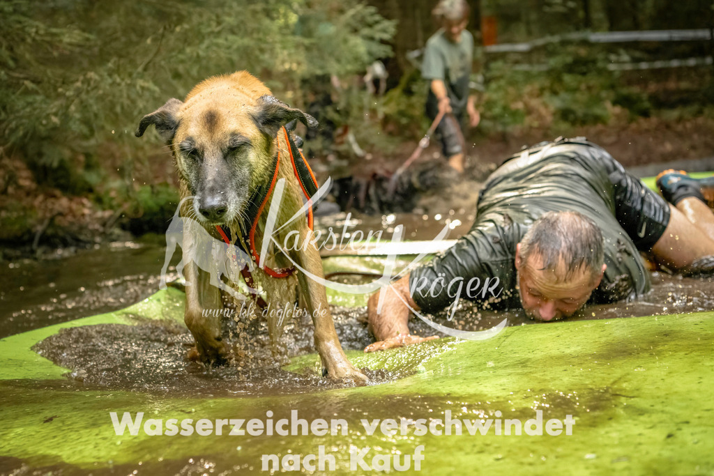 1409_ZZ91212-Bearbeitet | kk-dogfotos
