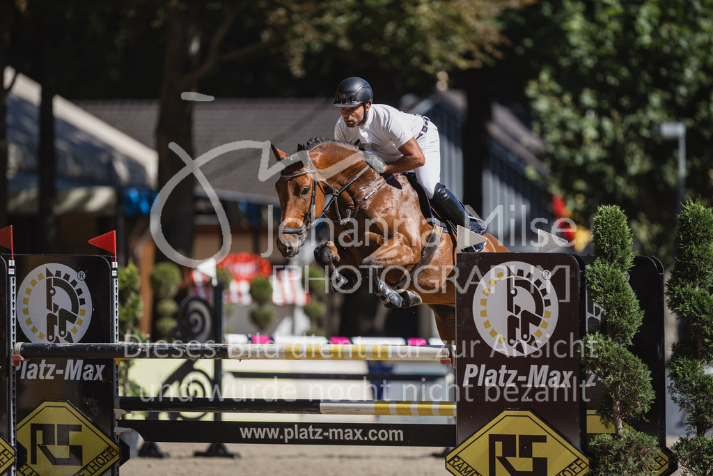 230907_OWLCh_SpringpferdeM-139 | Deine schönsten Turniermomente als professionelle Fotos! Entdecke hochwertige Pferdesport-Fotografie im Online-Shop. Jetzt Fotos finden & bestellen!