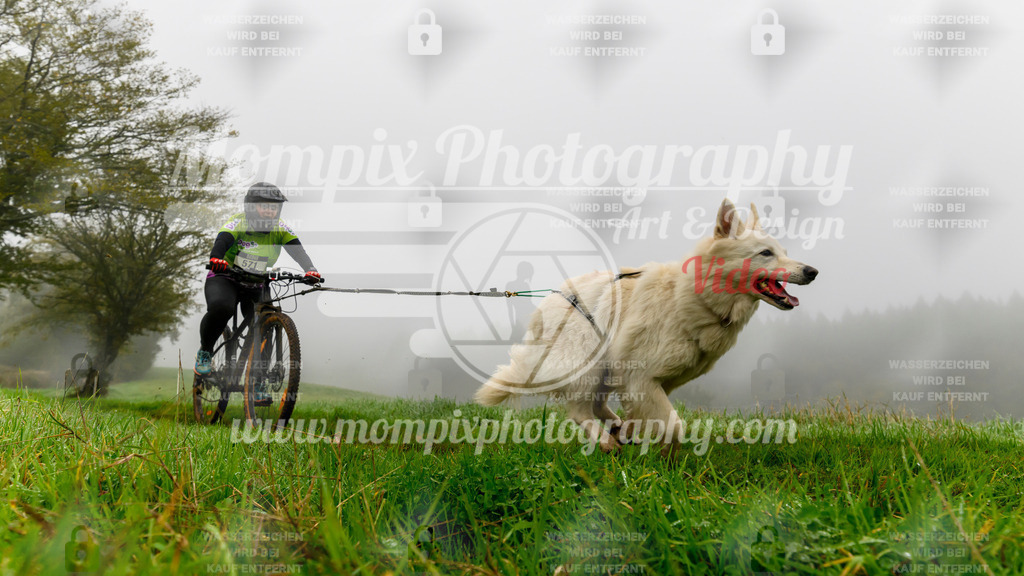 MompixPhotography_20TSB_E5_Bike-122 | PayLife