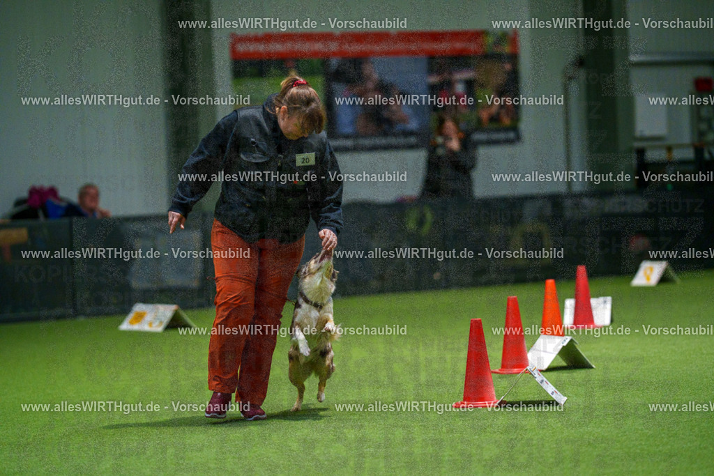 7R504640 | Professionelle Tierfotografie in Mönchengladbach von Daniel Wirth (allesWIRTHgut). Liebevolle & natürliche Bilder von Hunden & Katzen für unvergessliche Erinnerungen.