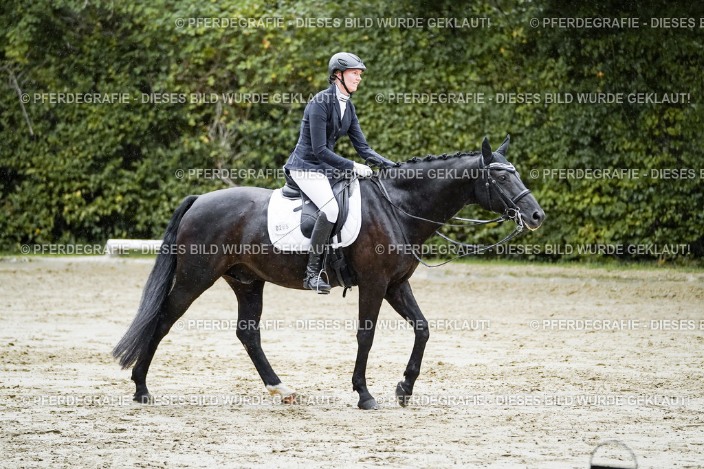 DSC00173 | Pferdegrafie