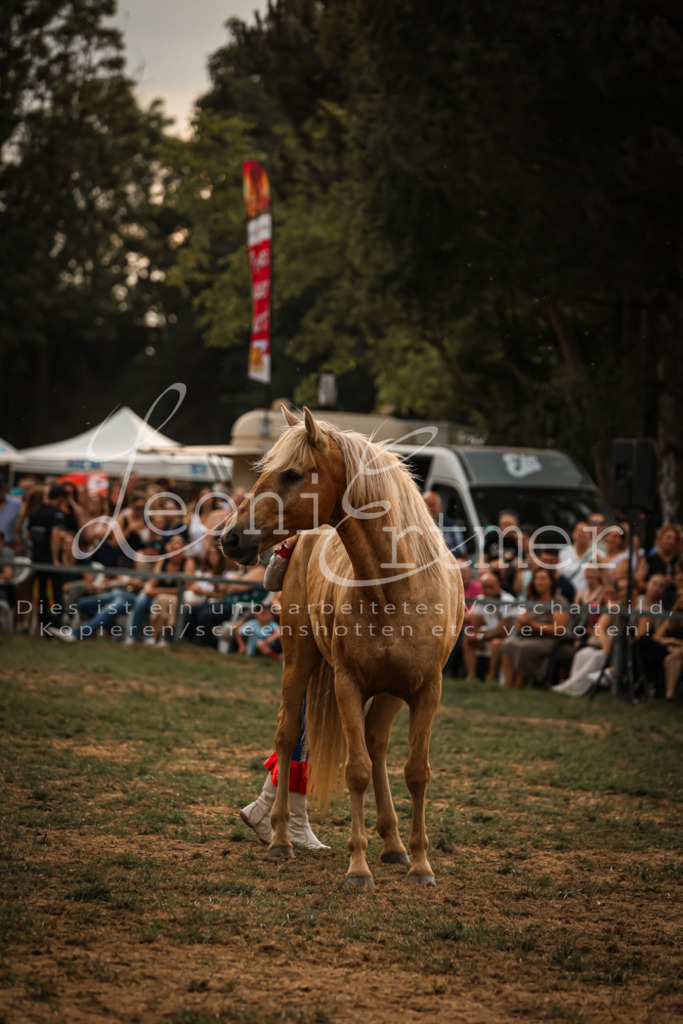 SaShow00034 | Leoni Ertmer Photography - Realisiert mit Pictrs.com