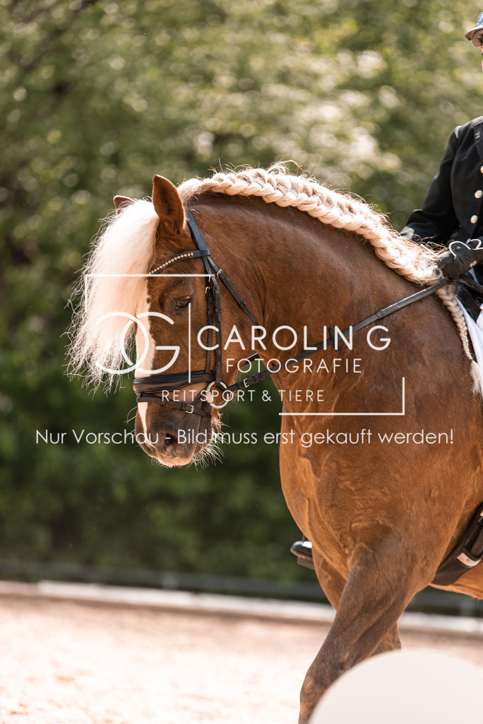 DSC_9877 | Turnierfotografin Carolin Gieschke, Turnierfotografie Carolin G Fotografie, Turnierfotos Kirchheim/Teck, Esslingen, Stuttgart, Bodenseekreis