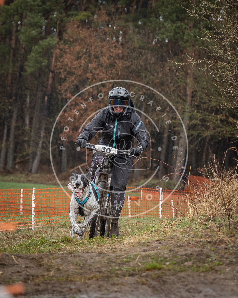 0L8A8921 | Hundefotografie, Tierfotograf, Pfotenfotografie, Fotoshooting Hund, Hunde Portrait, Hundesport, Hundeportraits, Heideshooting, Hunde, Sportfotograf, Hundefotograf, Turnierhundsport, THS,  - Realisiert mit Pictrs.com