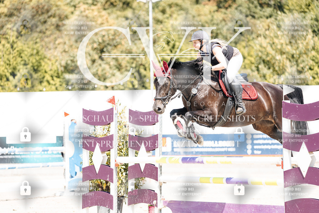 CK900624 | Turnierfotografie Pferdefotografie Trier Rheinland-Pfalz Pferdesport Reitsport Tierfotografie Sportfotografie Pferdevideo Pferdevideografie Equestrianvideography equestrianphotography  - Realisiert mit Pictrs.com